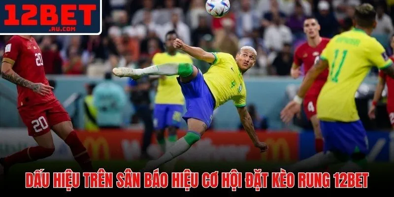 Tín hiệu thực chiến tách biệt quyết định đúng khỏi cảm tính