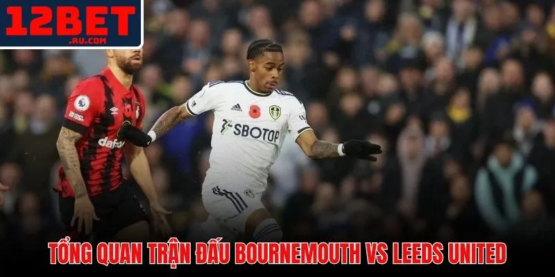 Tổng quan thông tin trước trận đấu giữa Bournemouth và Leeds United